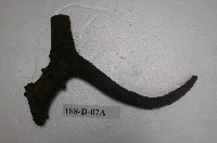 藏品(鹿化石)的圖片